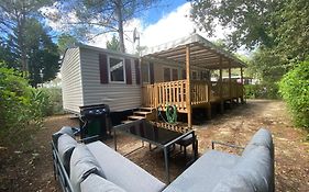 Vacances Sous Les Pins, Pres De La Mer, 6-8 Pers,Bien Equipe, Piscine